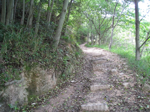 c0077338_22154889.jpg