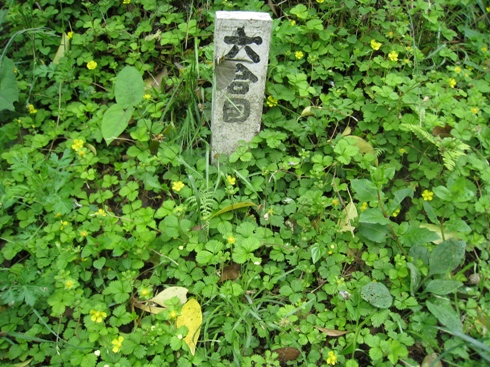 c0077338_22161297.jpg