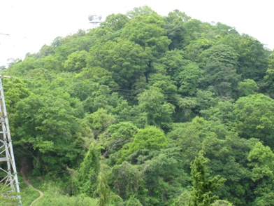 c0077338_2221525.jpg