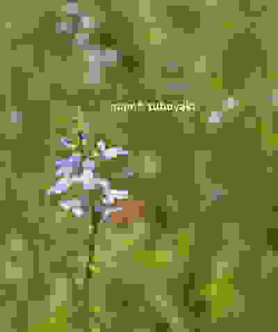 e0081339_21544762.jpg