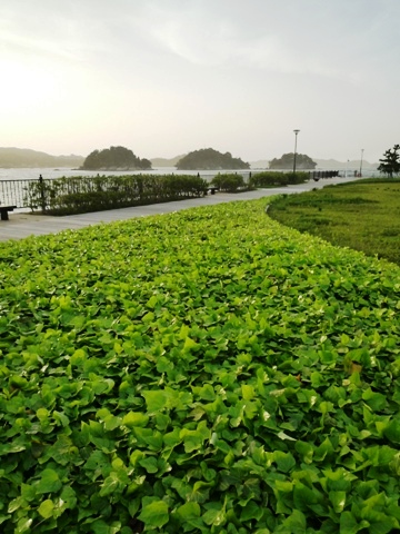 b0041442_10584135.jpg