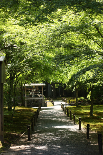 b0148547_17441488.jpg