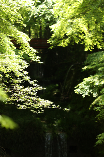 b0148547_1748057.jpg