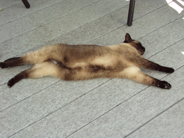 a0204348_22281528.jpg
