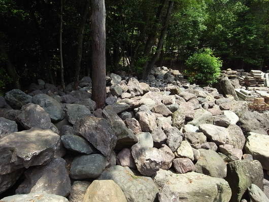 e0126548_1055517.jpg