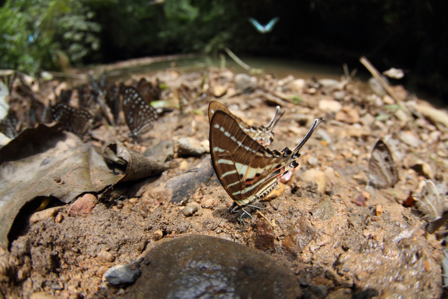 a0094850_11321993.jpg