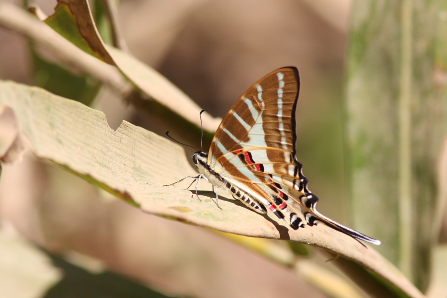 a0094850_11331850.jpg