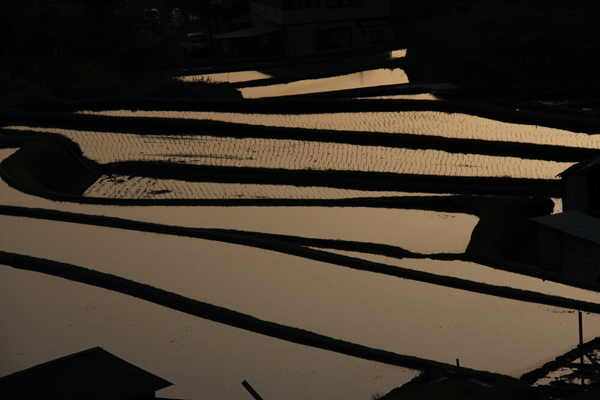 d0163550_13472352.gif