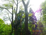 f0223051_8422969.jpg