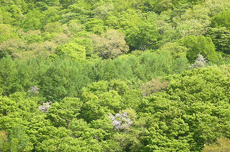 a0001354_2248826.jpg