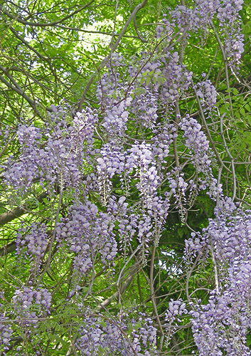 a0001354_22502072.jpg