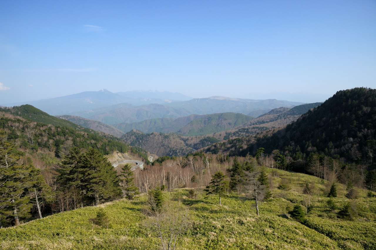 e0131355_13302100.jpg