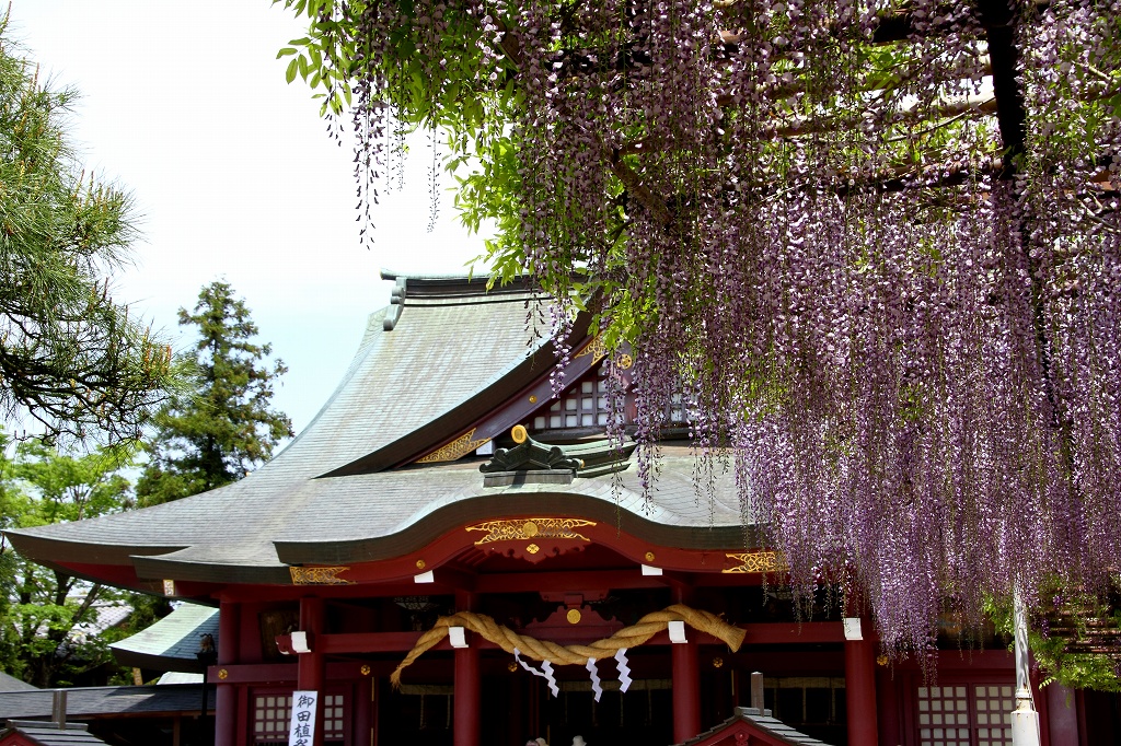 e0229455_23223063.jpg