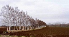 e0044657_934443.jpg