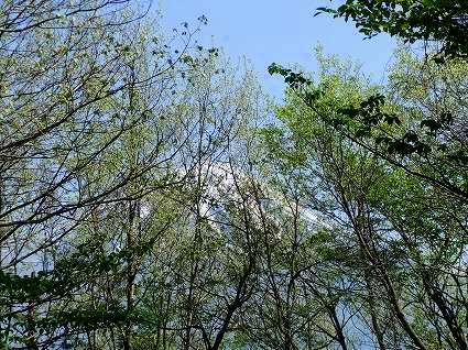 c0097558_115612.jpg