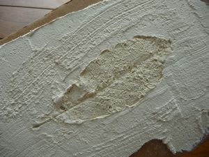 c0167359_8563593.jpg