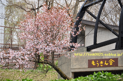 a0105160_2316942.jpg