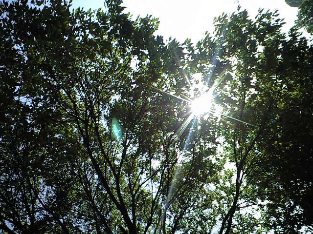 c0194767_223580.jpg
