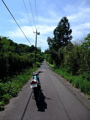e0045768_2232879.jpg