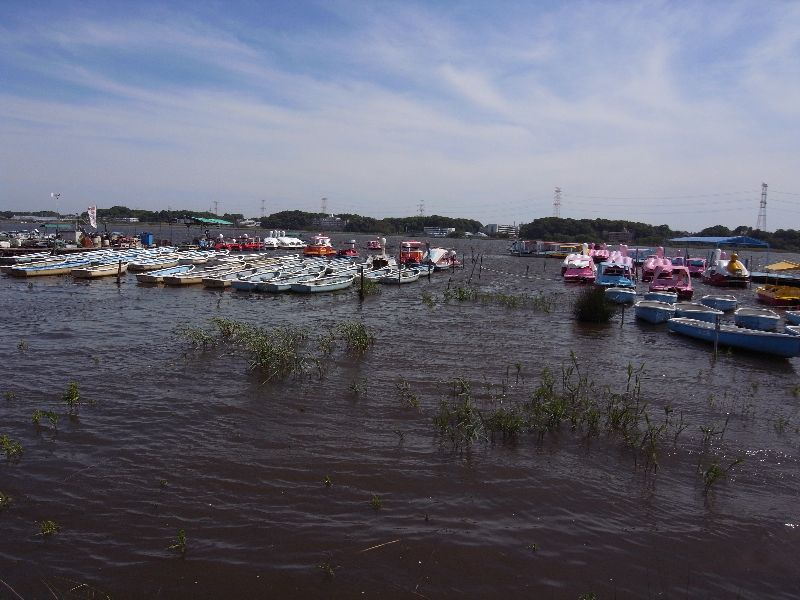b0084270_0494398.jpg