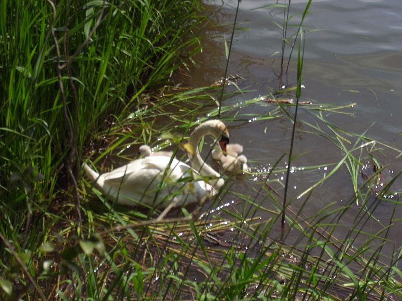 b0084270_105042.jpg