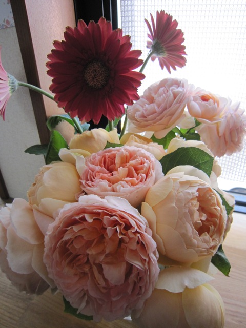 c0202870_8193744.jpg
