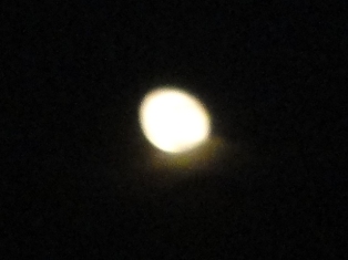 d0109373_0502051.jpg