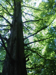 f0112873_010614.jpg