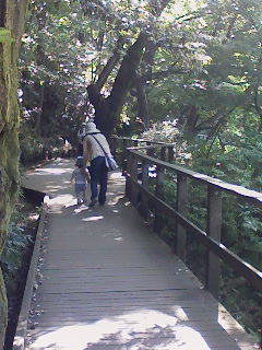 f0112873_020014.jpg