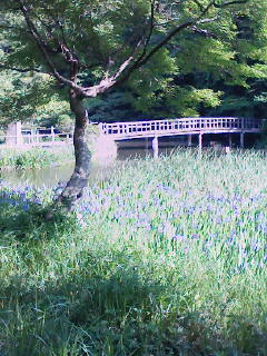 f0112873_031634.jpg