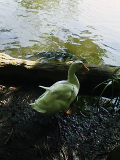 f0112873_063211.jpg