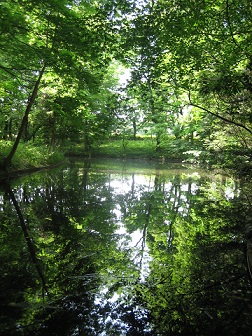d0039992_23382499.jpg