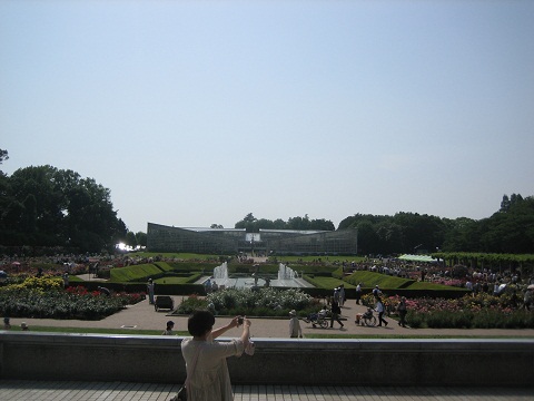 d0039992_2339080.jpg