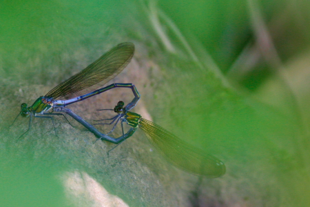 d0133693_21205266.jpg