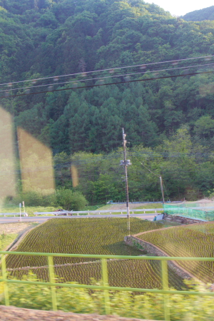 d0133693_7121889.jpg