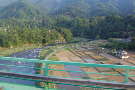 d0133693_7154274.jpg
