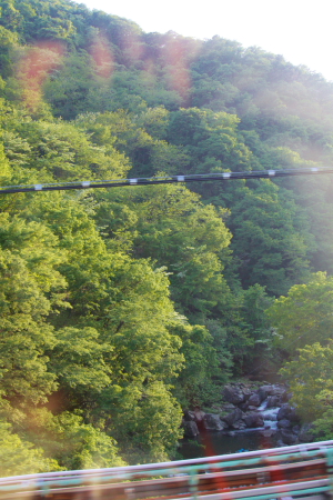 d0133693_7164884.jpg