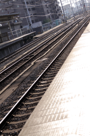 d0133693_744380.jpg