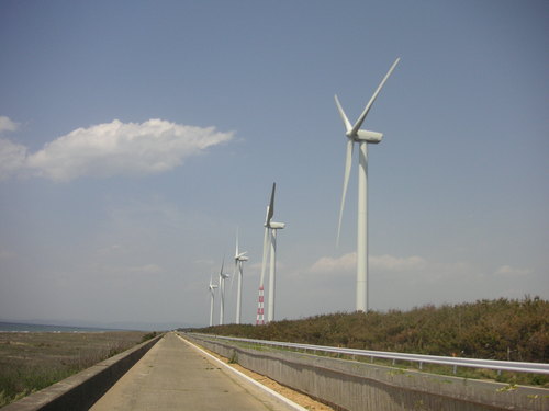 d0115997_22175667.jpg