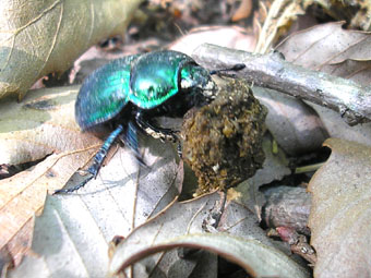 e0083097_23515697.jpg