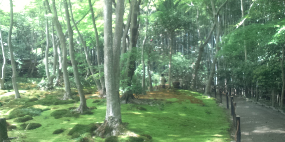 b0136198_14205693.jpg