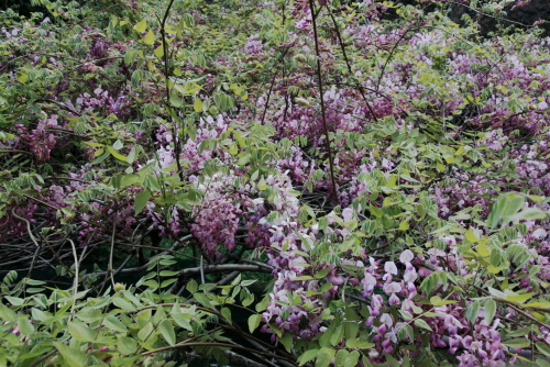 c0129498_23105758.jpg