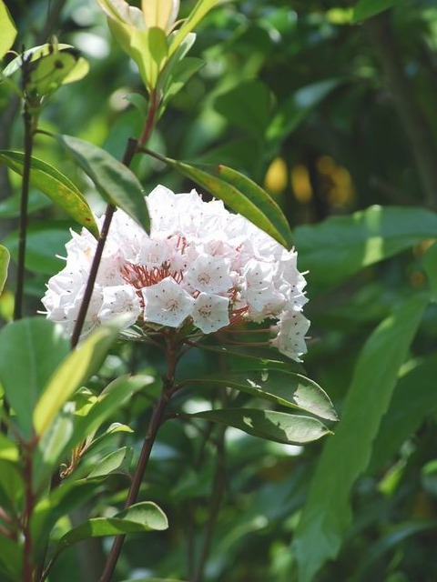 e0025300_13345686.jpg