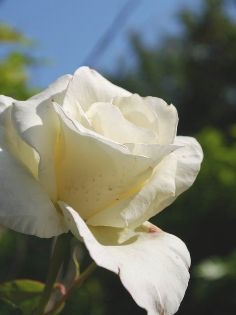 e0025300_13402242.jpg