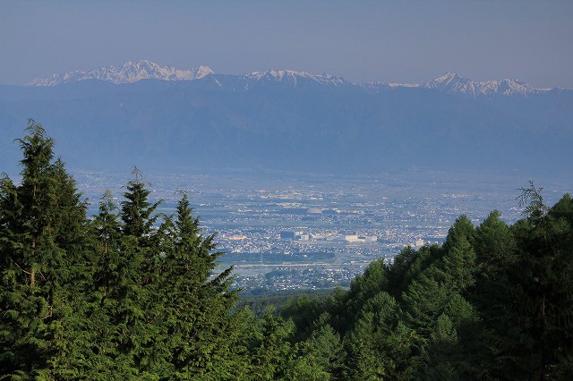 a0188405_1718938.jpg