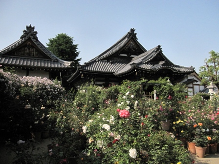 e0146907_20362514.jpg