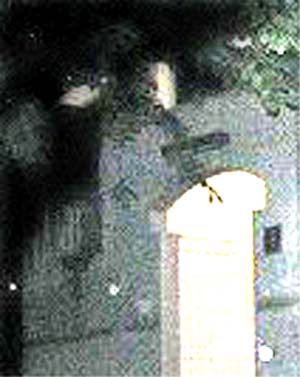 e0103408_167512.jpg