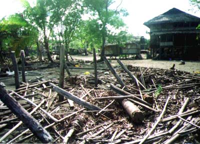 e0103408_1684470.jpg
