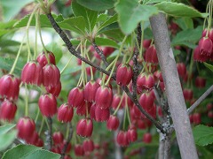 c0190010_20331865.jpg