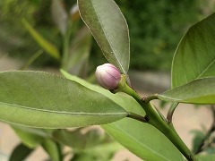 c0190010_2034288.jpg